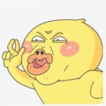 ảnh meme bựa gà con láo hài hước