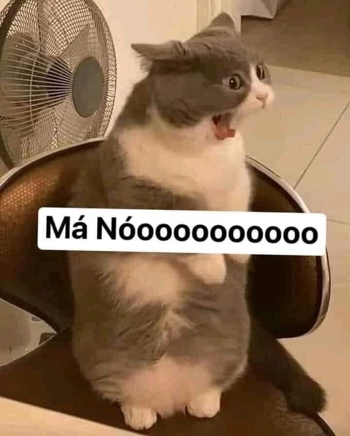 ảnh meme cà khịa độc lạ vừa xem vừa giải trí