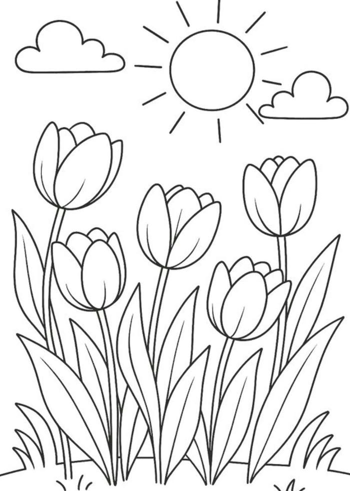 ảnh tranh tô màu hoa tulip