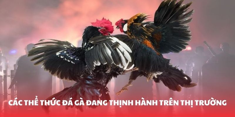 cac-the-thuc-da-ga-dang-thinh-hanh-tren-thi-truong