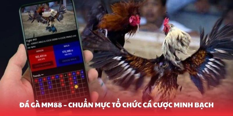da-ga-mm88-chuan-muc-to-chuc-ca-cuoc-minh-bach