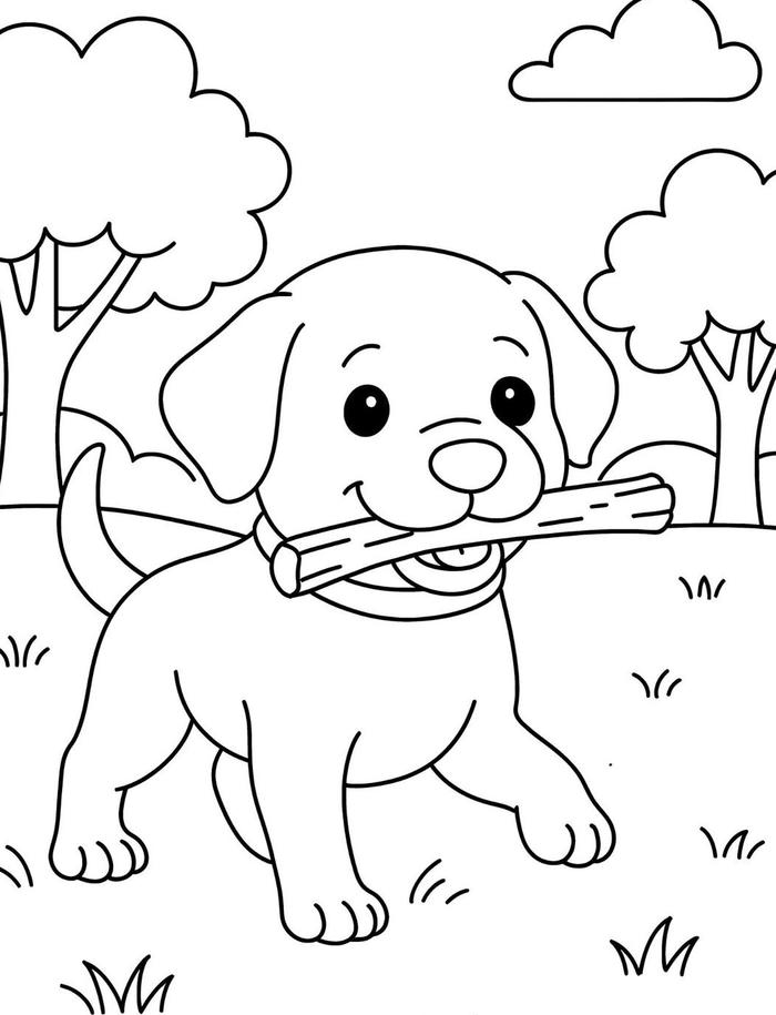 hình ảnh mẫu tô màu chú cún đang tròn mắt
