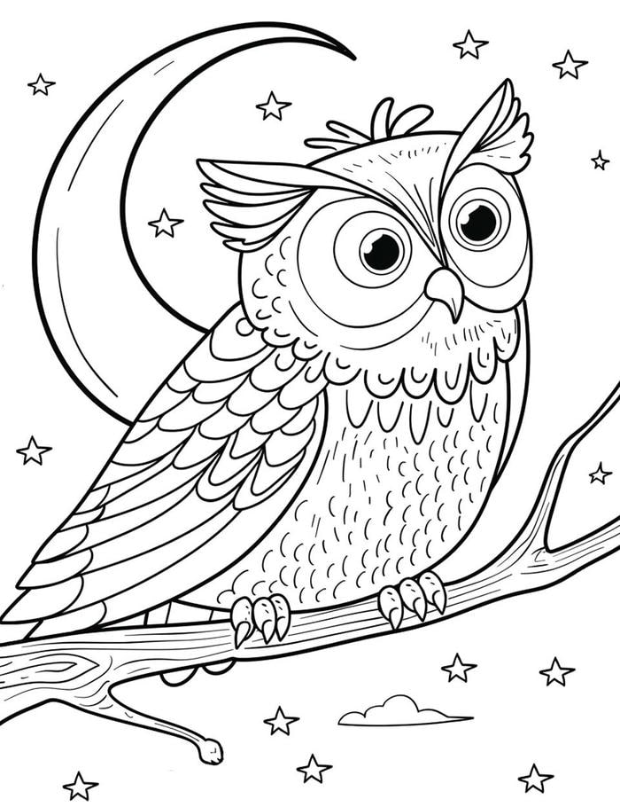 hình ảnh tô màu các con vật biết bay