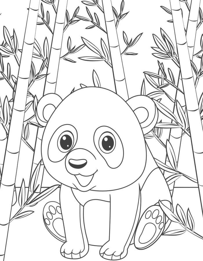 hình ảnh tranh tô màu gấu trúc