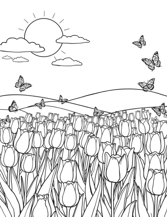 hình tô màu cánh đồng hoa