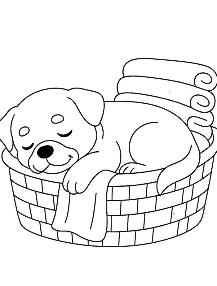 hình tô màu chó ngủ trong giỏ
