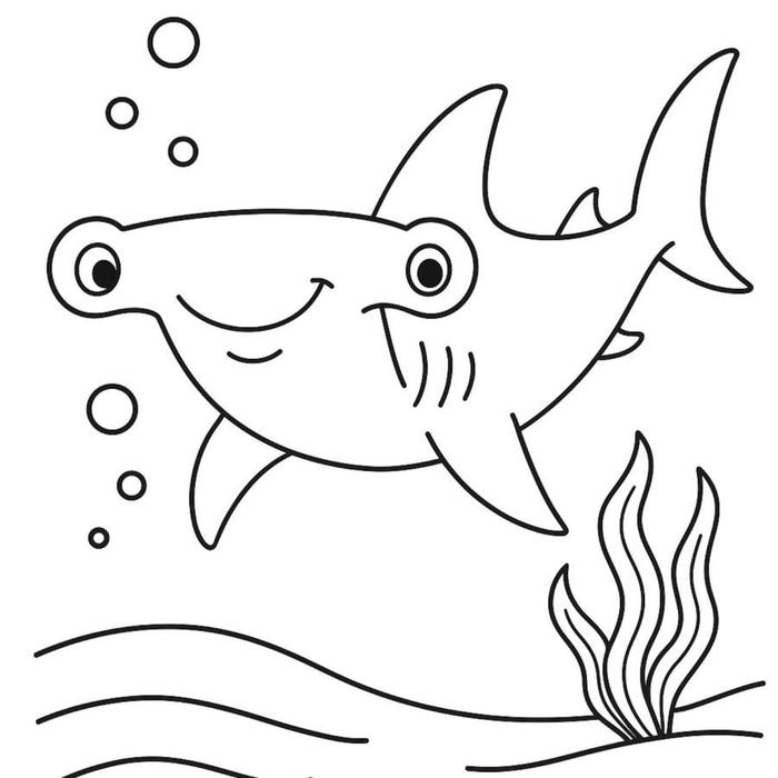 hình tô màu con cá mập đầu búa