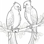 hình tô màu đôi chim trên cây