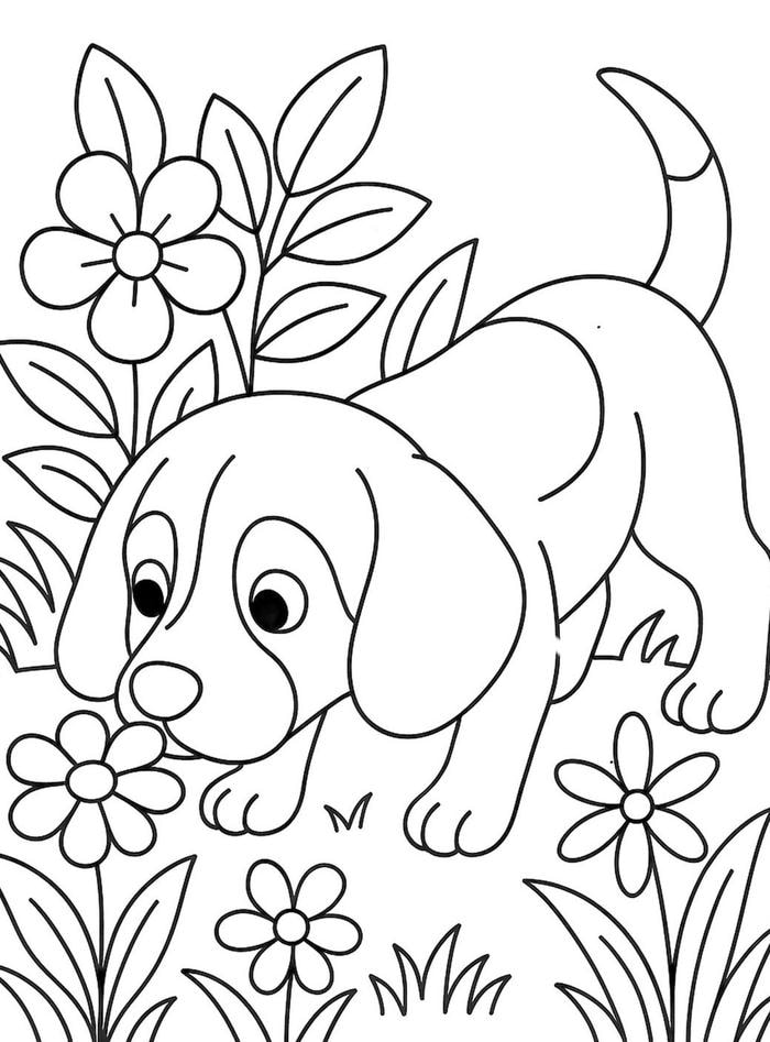 hình tranh tô màu chó ngửi hoa thơm