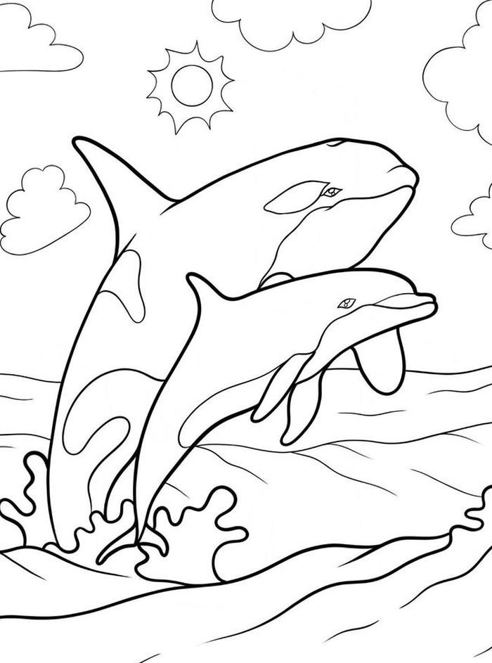 hình tranh tô màu con cá dáng uyển chuyển