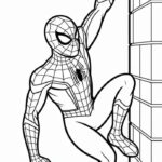 hình tranh tô màu người nhện leo tường