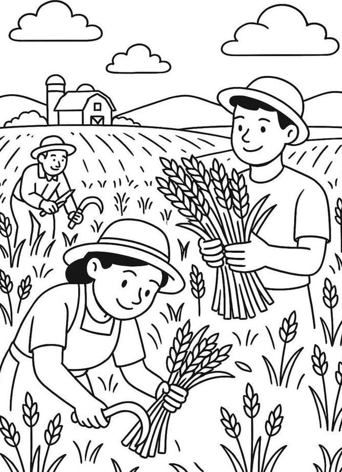 hình tranh tô màu nông dân thu hoạch lúa