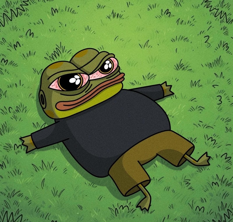 Ảnh chế meme ếch xanh với nét mặt ngớ ngẩn