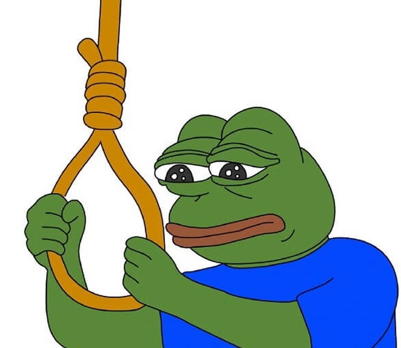 Hình ảnh chú ếch xanh gây cười trên mạng
