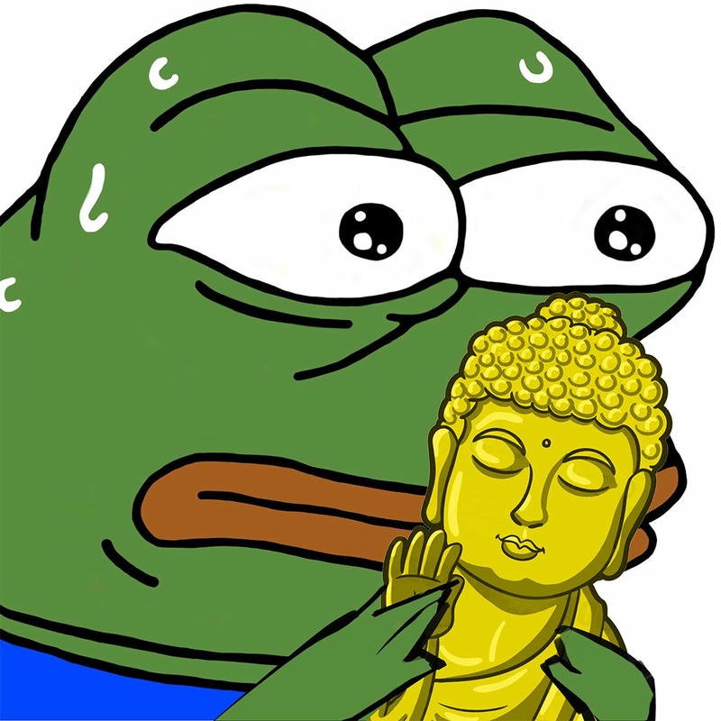 Khoảnh khắc ếch xanh với nét mặt ngơ ngác