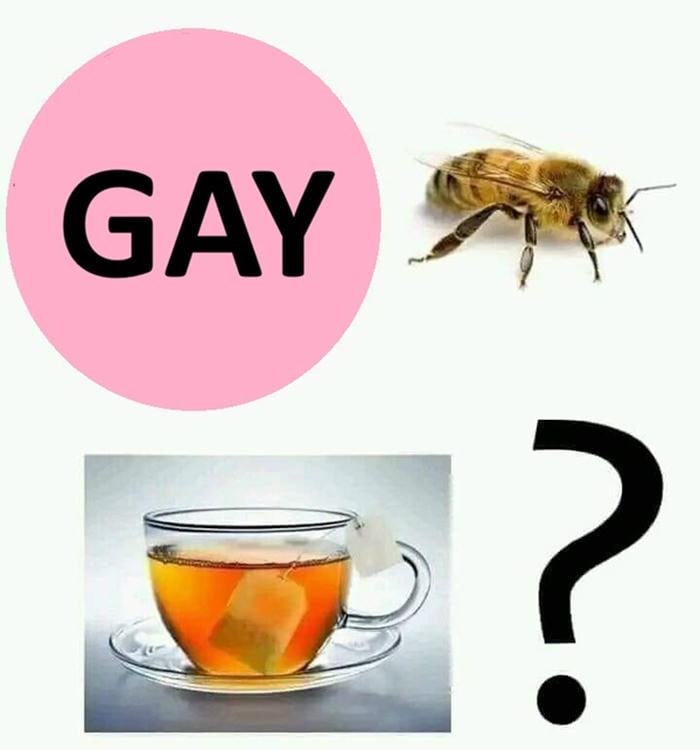 ảnh gay meme tình huống cà khịa