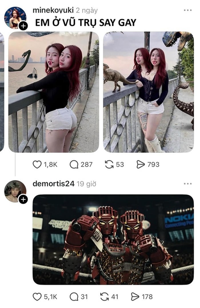 ảnh ghép nhân đôi chế caption say gay meme