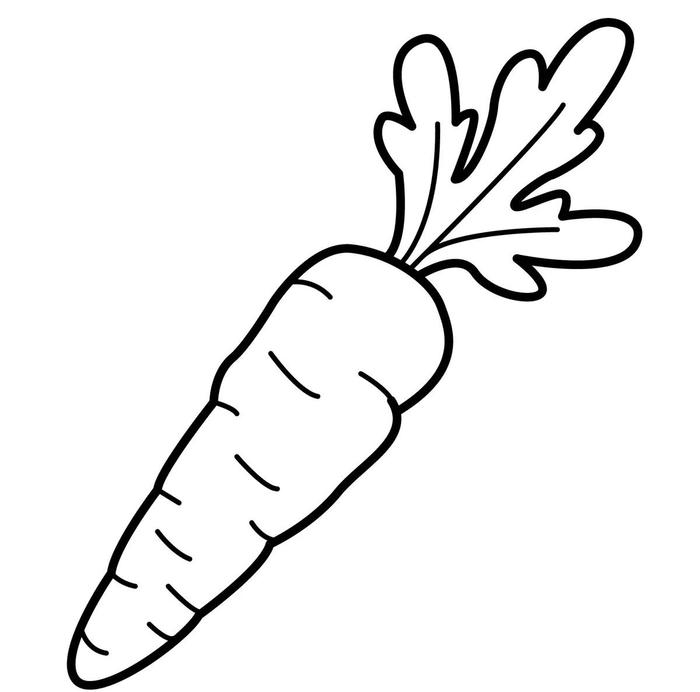 hình ảnh cà rốt hoạt hình dễ thương