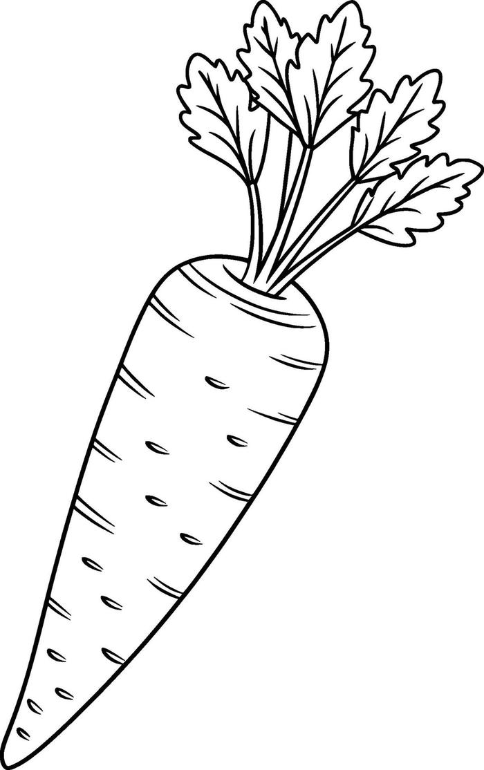 hình ảnh cà rốt thiếu nhi tô màu