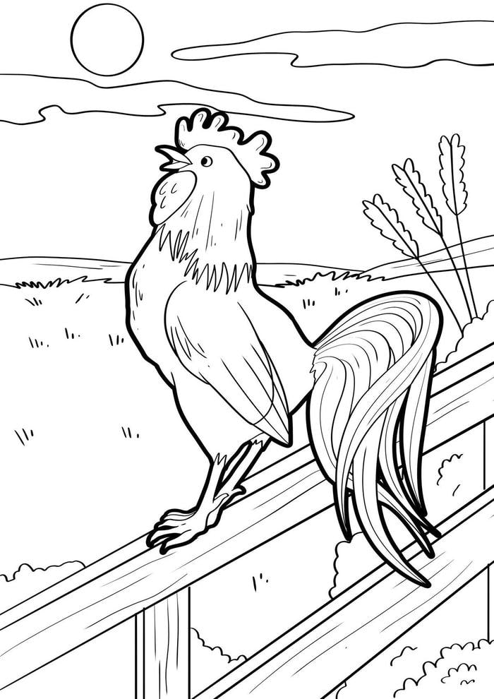 hình ảnh tô màu gà trống quê