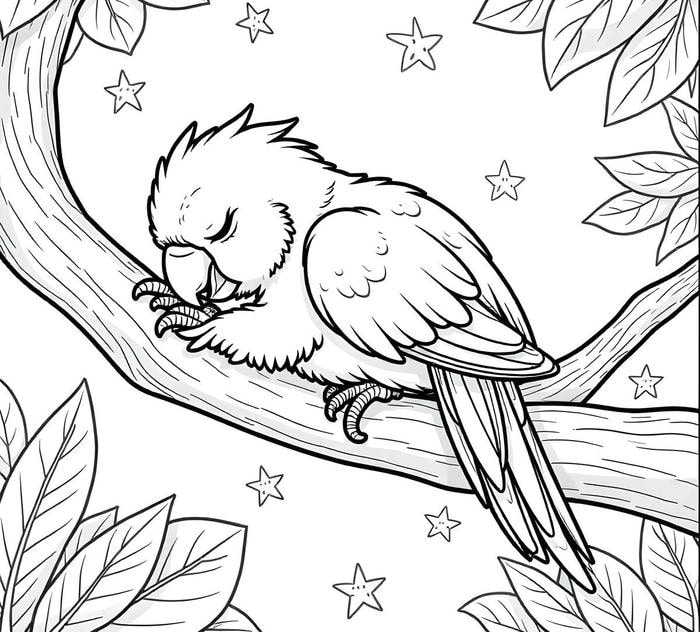 hình tô màu chim ngủ trên cây