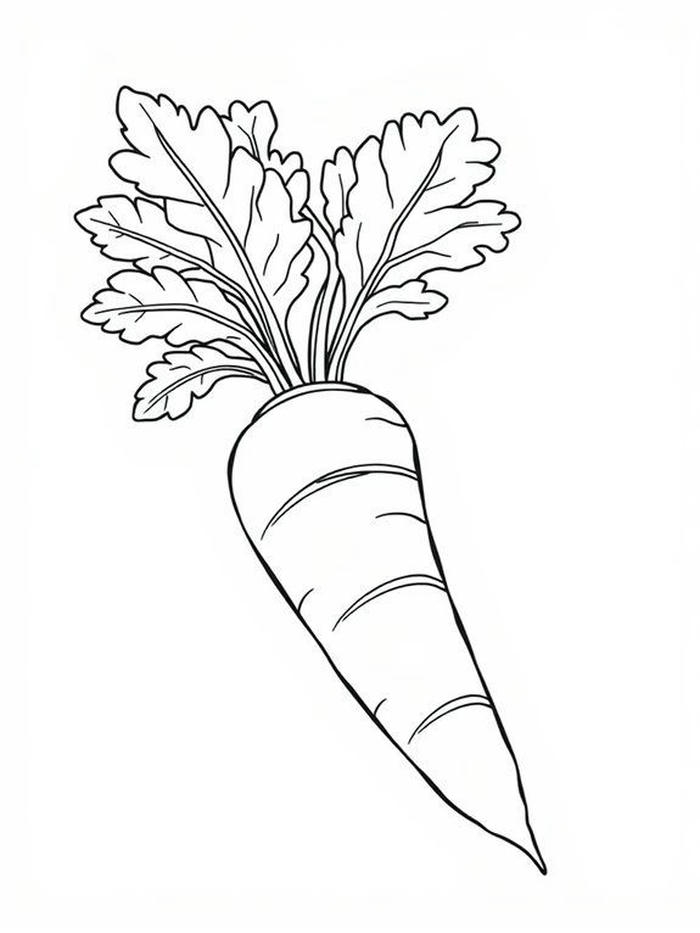 hình tranh cà rốt mầm non