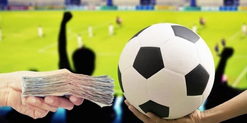 xr:d:DAGAKIlR1x4:24,j:4325004141092448249,t:24032317