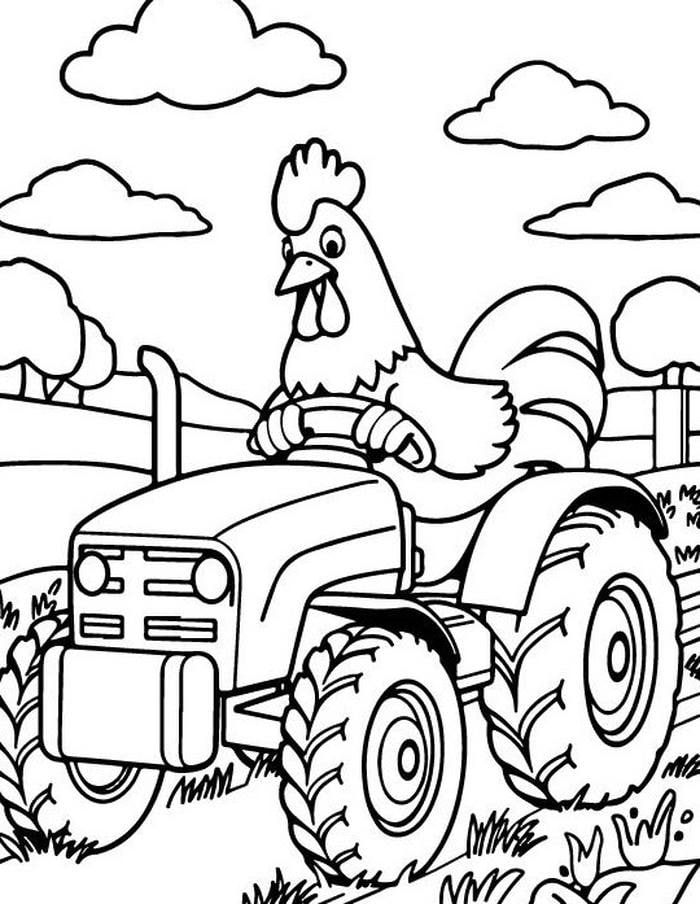 tranh tô màu gà trống lái máy kéo