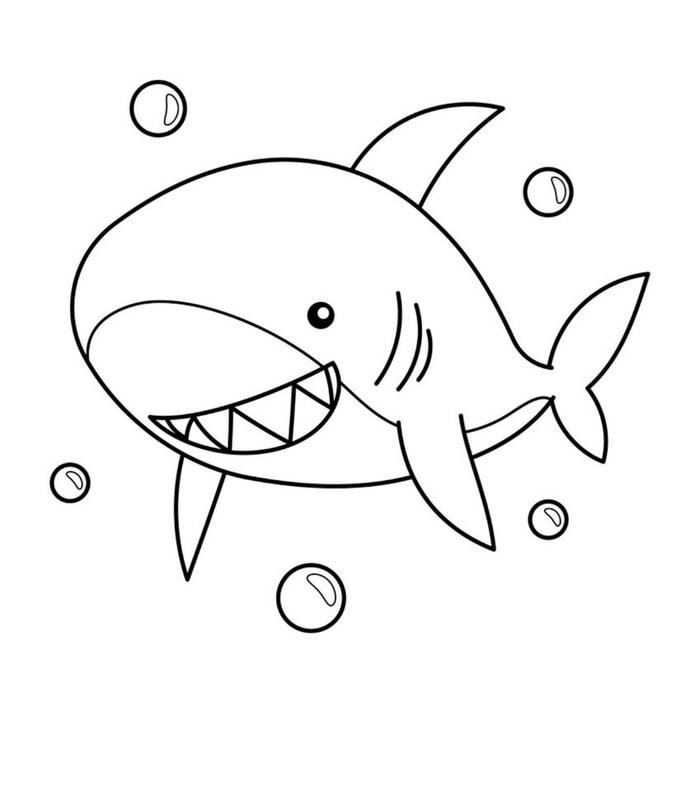 hình ảnh cá mập đơn giản nét