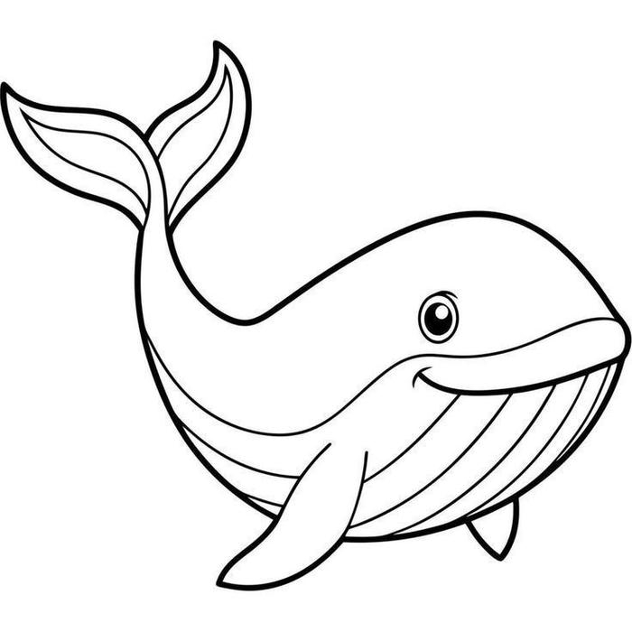 hình ảnh cá mập hoạt hình vui