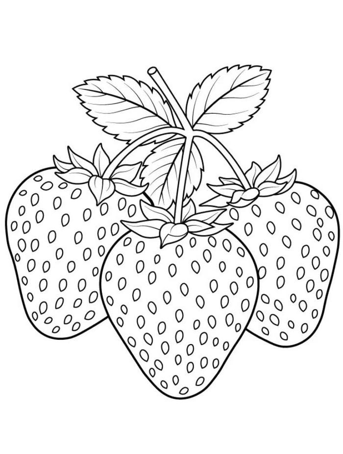 hình ảnh tô màu quả dâu