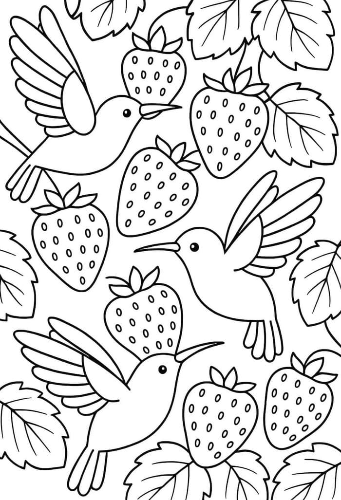 hình ảnh tranh tô màu quả dâu tây bắt mắt