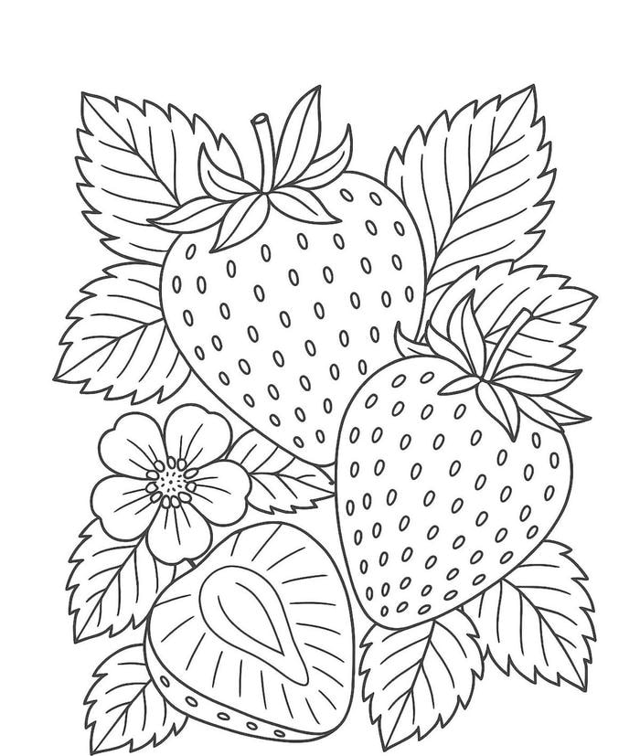 hình ảnh tranh tô màu quả dâu tây nổi bật