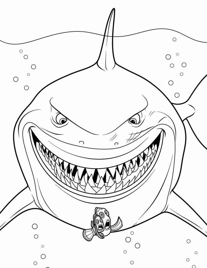 hình tranh cá mập tức giận