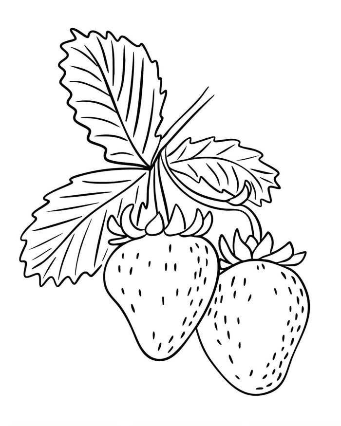 hình tranh tô màu quả dâu tây mềm mại