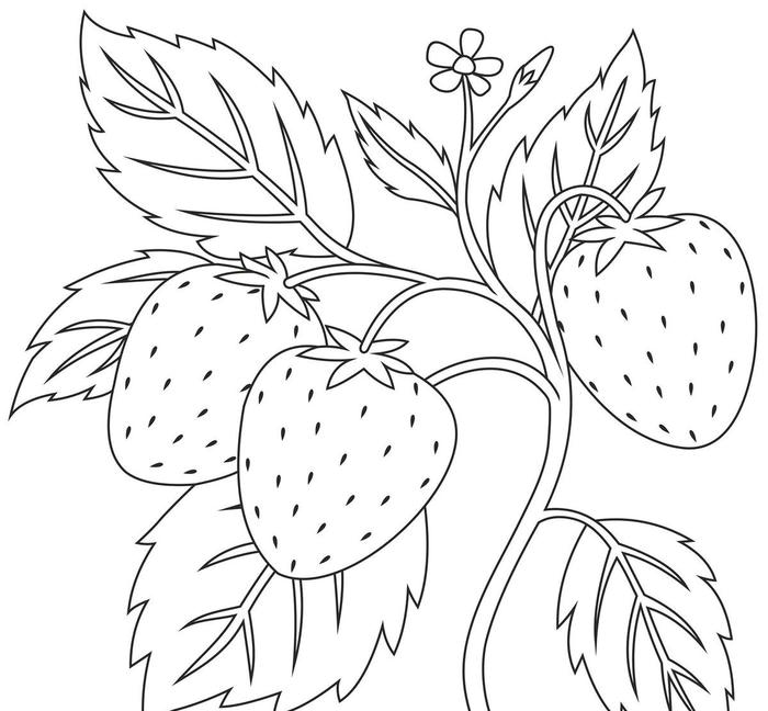 tô màu tranh tô màu quả dâu tây đáng yêu