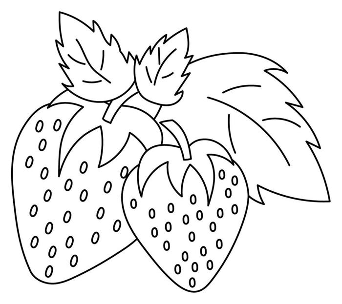 tranh tô màu quả dâu tây dịu dàng
