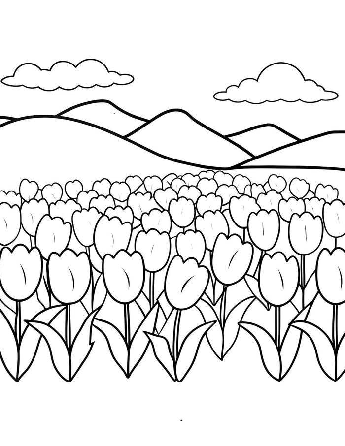 tranh tô màu vườn hoa tulip