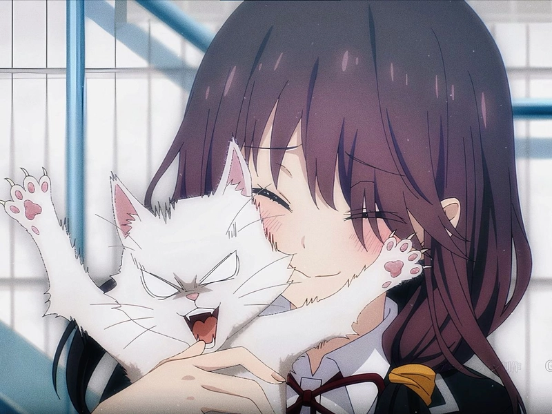 Anime Kurumi với mái tóc đen dài buộc lệch hai bên