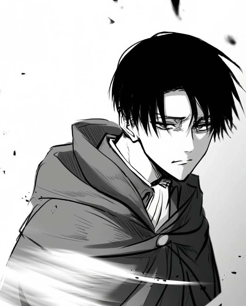 Hình ảnh Levi Ackerman mái tóc ngắn gọn