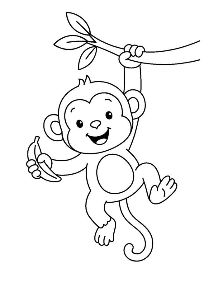 hình ảnh tranh tô màu con khỉ cute