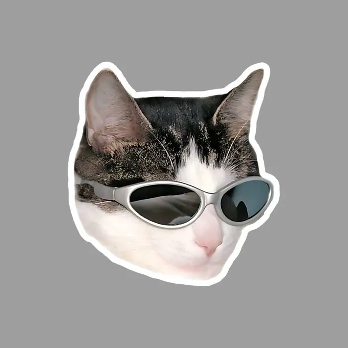 Ảnh sticker mèo đáng yêu ngộ nghĩnh
